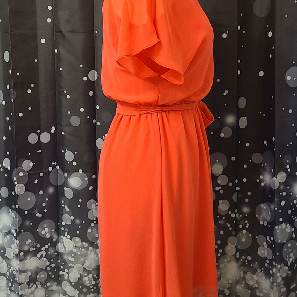 Express size SP coral dress - Picture 2 of 12